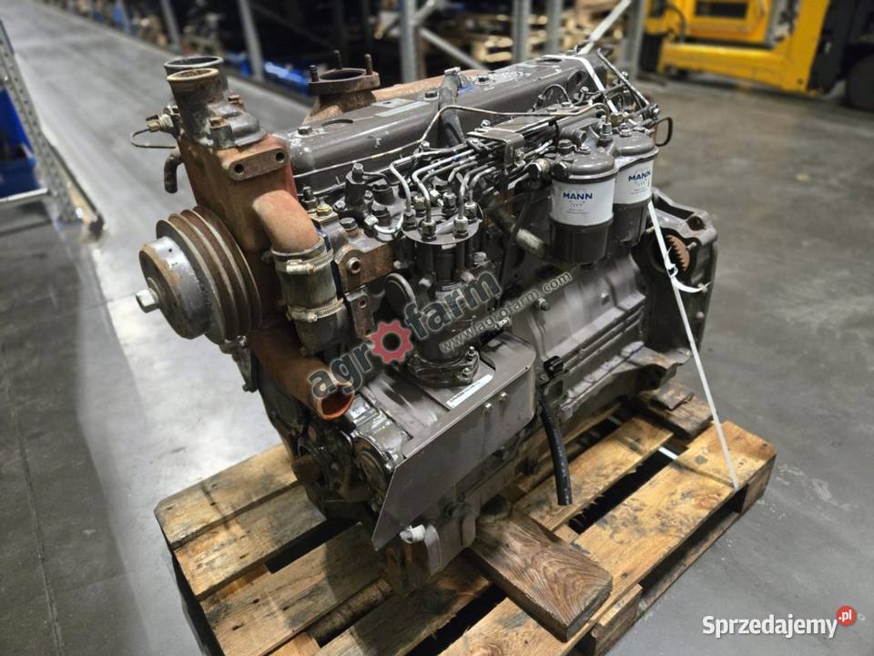 Silnik Massey Ferguson 3080 Perkins A6354 Byków
