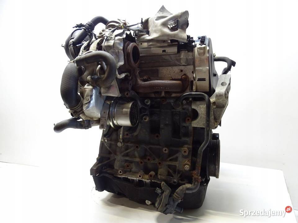 SILNIK SŁUPEK DBK 16 TDI SKODA OCTAVIA III AUDI