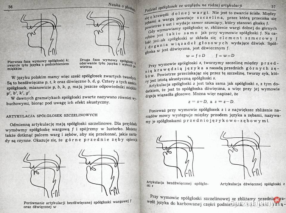 Gramatyka języka polskiego Zarys popularny Piotr Chełm