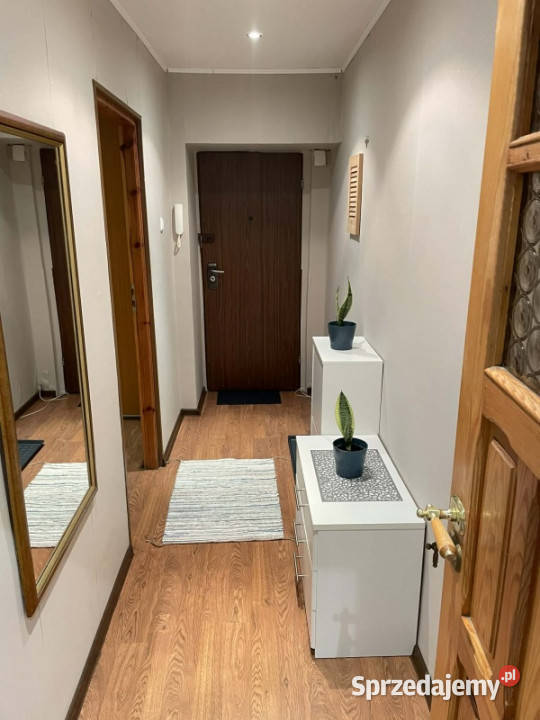 2 pokoje z potencjałem na 3 523 m Katowice