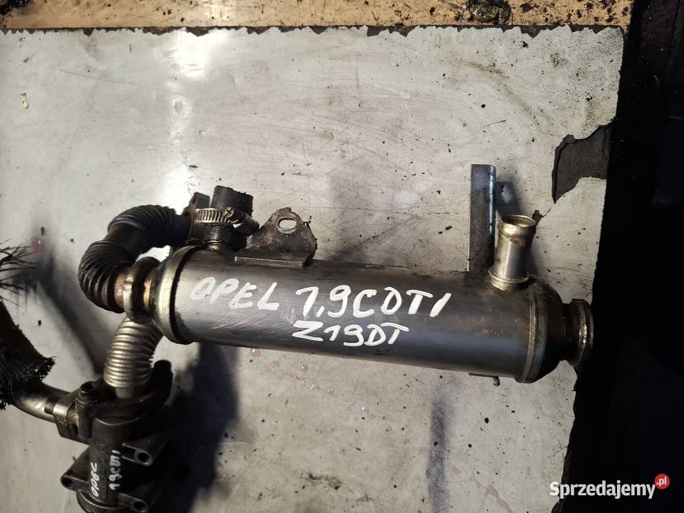 FIAT OPEL ASTRA ZAFIRA 19 CDTI chłodnica spalin Kielce