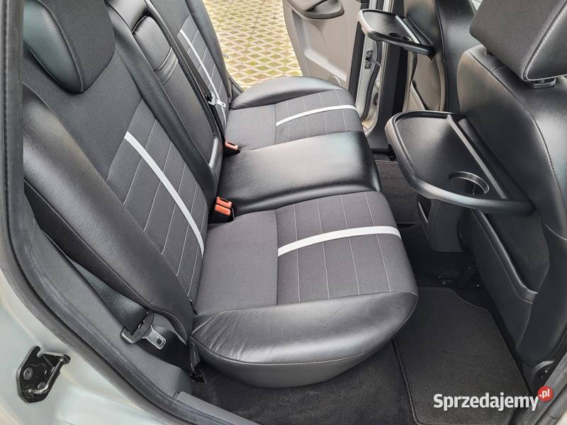 ZADBANY RODZINNY SUVIK lakier metallic Słomniki