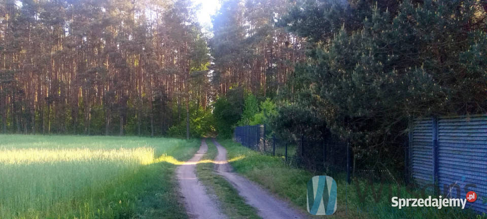 sprzedaży mieszkania Miłoszyce 4933m2 3pok