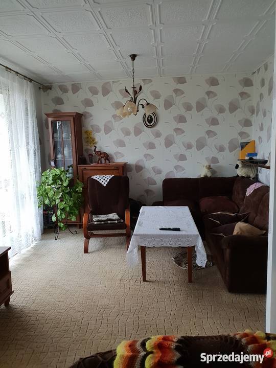 M4 Zielona Jastrzębie Zdrój śląskie