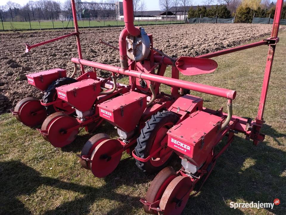 siewnik Głuchołazy