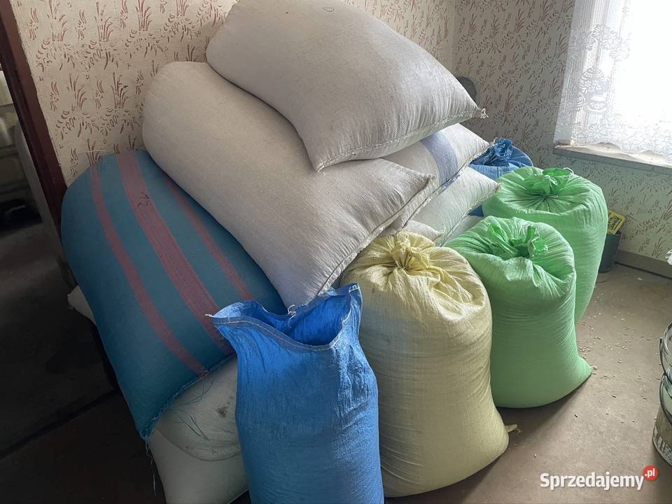 Zboże owies zbiór 2025r workowany małopolskie