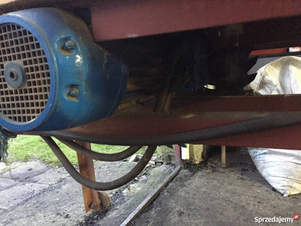 Trajzega Krajzega Piła Tarczowa