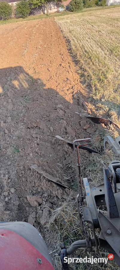 Pług 3 skibowy overum Lublin