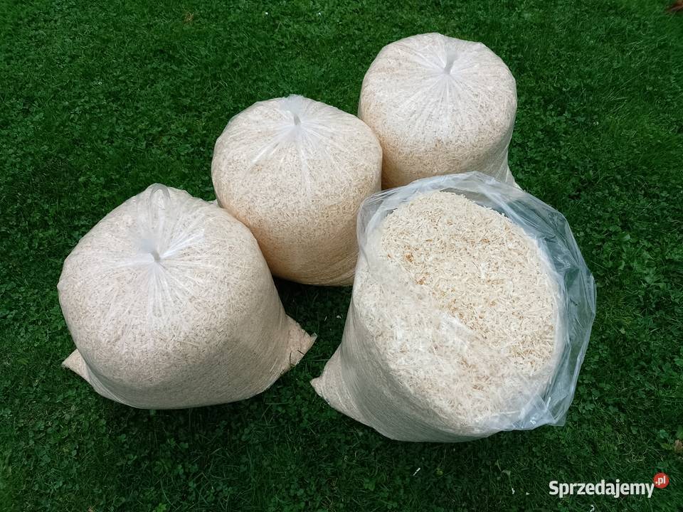 Trociny gryzoni STOLARZA 40L suche odpylone Dla gryzoni Andrychów