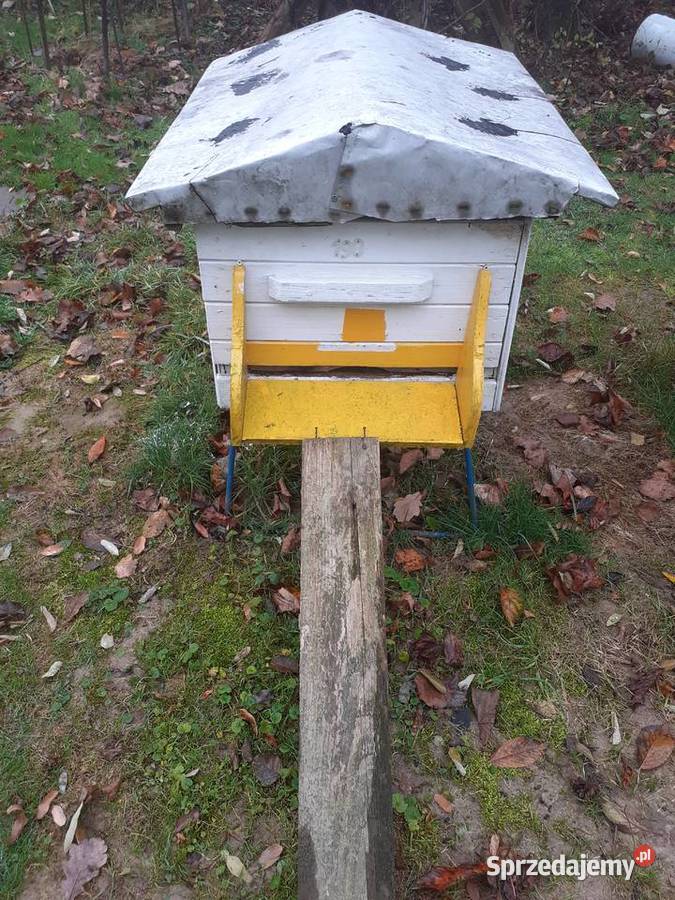 Sprzedam pszczoly z ulami bez uli w 2026r