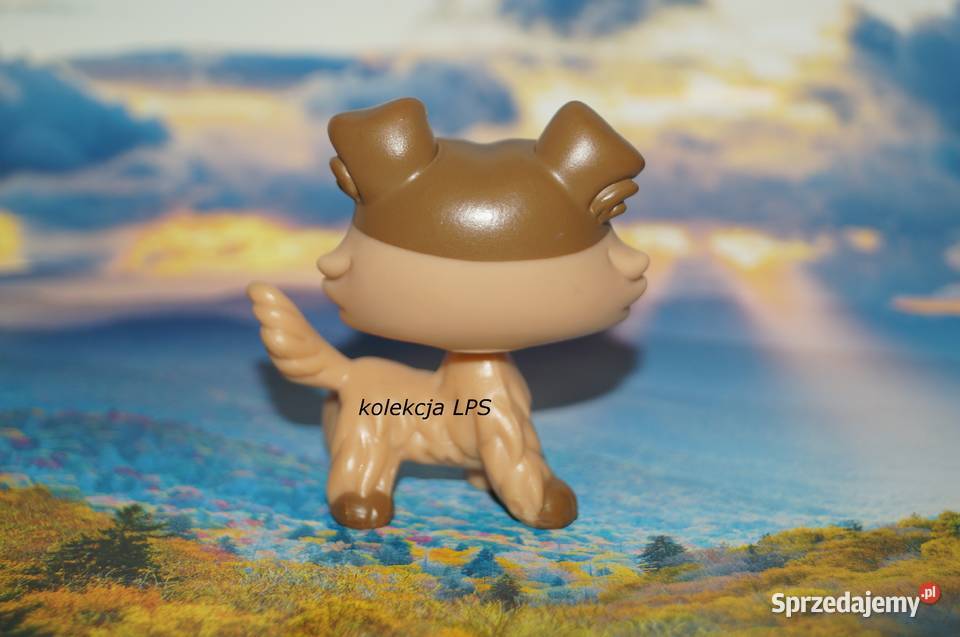 LPS collie 893 853 UNIKAT oryginalny Littlest Hasbro Rybnik