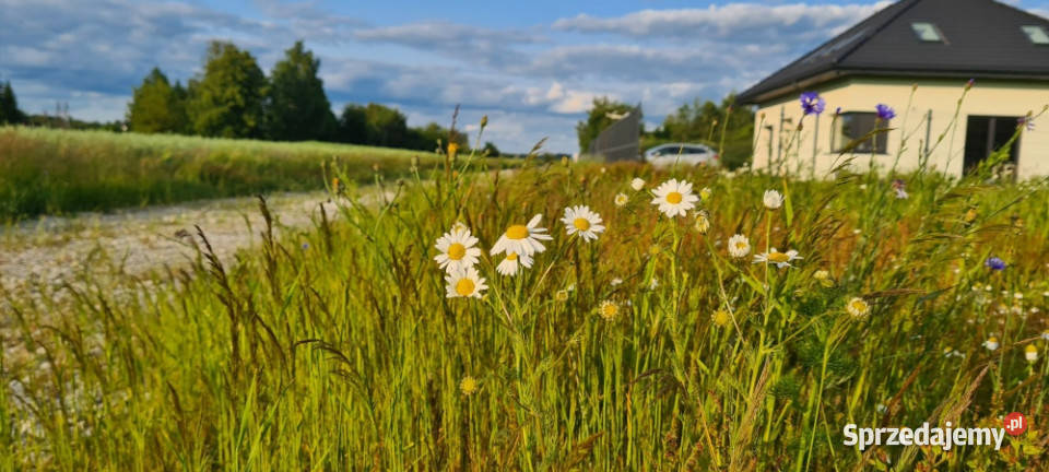 DZIAŁKA NA GRANICY ŁODZI Z POZWOLENIEM NA BUDOWĘ 1972m2 Leśne Odpadki