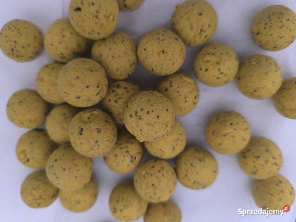 Kulki proteinowe Lorpio Carp Program Floating Białystok