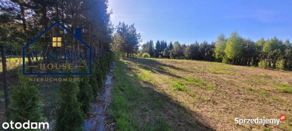 Działka rolnobudowlana z linią brzegową jeziora asfalt