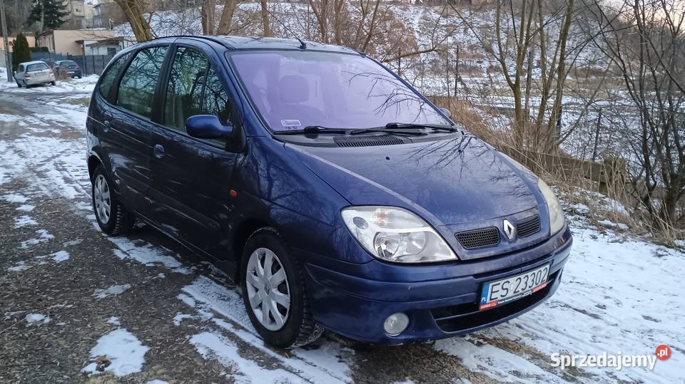 2002 Renault Megane Scenic kupiony w Polsce mazowieckie