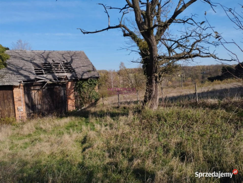 Grunt Pstrążna 70000m2 śląskie sprzedam