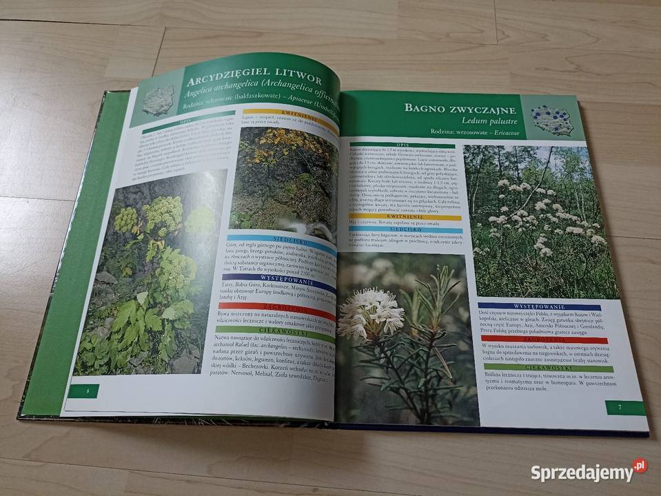 Agnieszka i Włodek Bilińscy Rośliny chronione w twarda Książki naukowe i popularnonaukowe Kraków