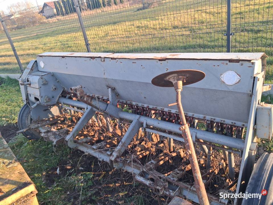 Siewnik Poznaniak mazowieckie Pułtusk