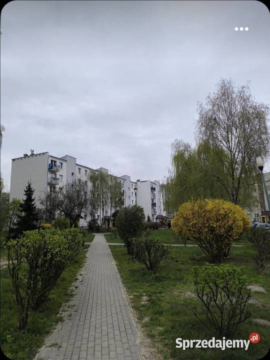Mieszkanie Pruszków 484 gotowe do zamieszkania Sprzedaż