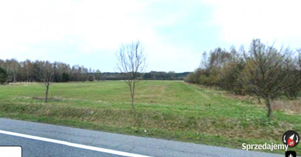 sprzedaż działka inwestycyjna 7899m2 Grodziec