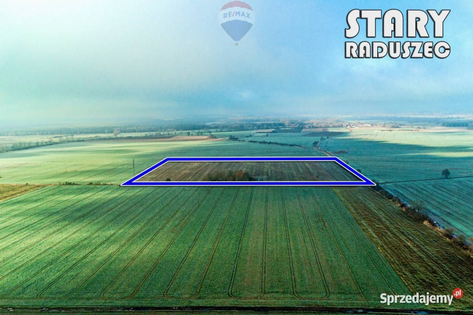 Na sprzedaż grunty orne RIIIa 875 ha lubuskie Stary Raduszec