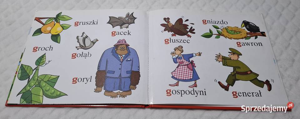ABC Uczę się G goryl Strzałkowska Hachette 2007 ISBN 9788374489546 Czeladź