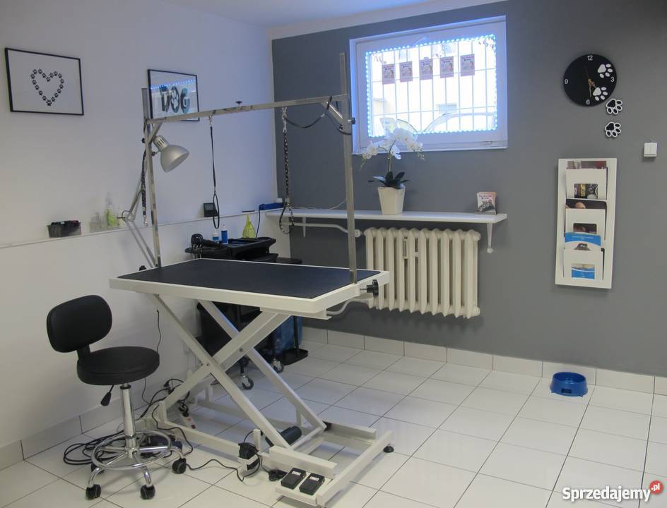 PSI FRYZJER ŁAPKA STRZYŻENIE PSÓW GROOMER NOWO Usługi Poznań