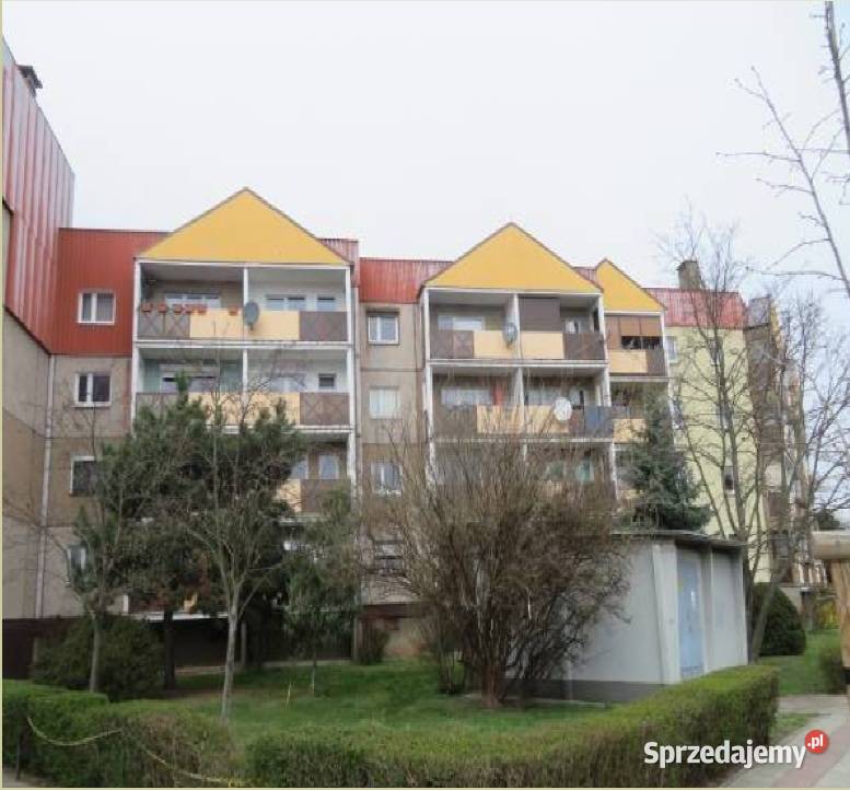 Syndyk sprzeda lokal mieszkalny w Lesznie 5995zł/m2 Sprzedaż