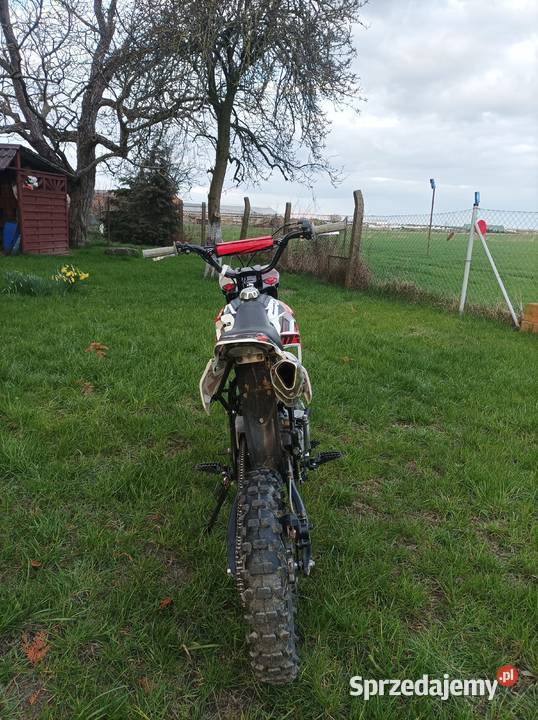 MRF 140RC BIG 2021 Gola sprzedam