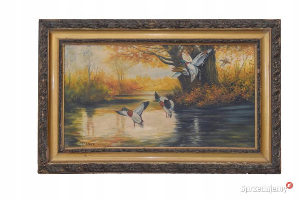 Józef Rapacki Polski Pejzaż Lecące Kaczki Rzeka małopolskie Kraków sprzedam