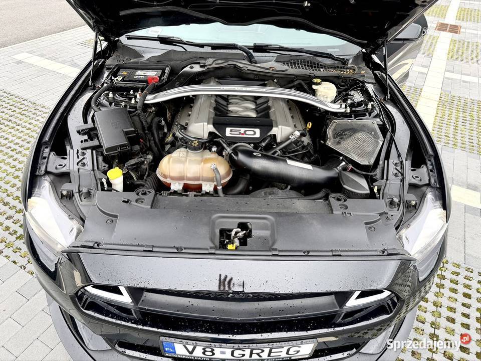 Śliczny Mustang 50 GT V8 2016r bezwypadkowy dolnośląskie Świdnica