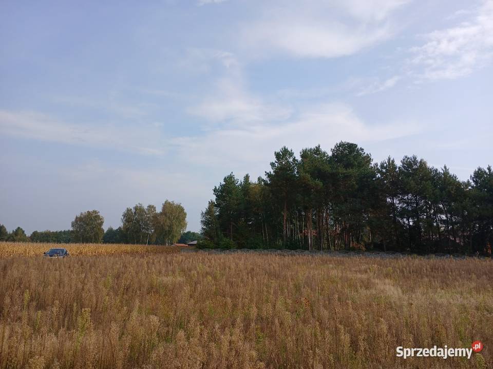 Działka 1400 m z warunkami zabudowy Ujeździec Ujeździec Mały