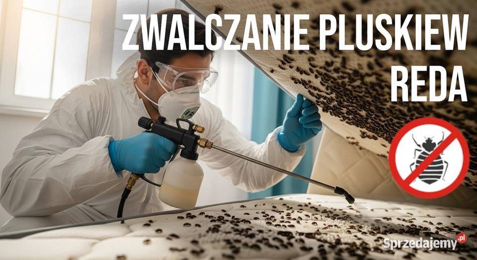 Zwalczanie pluskiew Reda Odpluskwianie