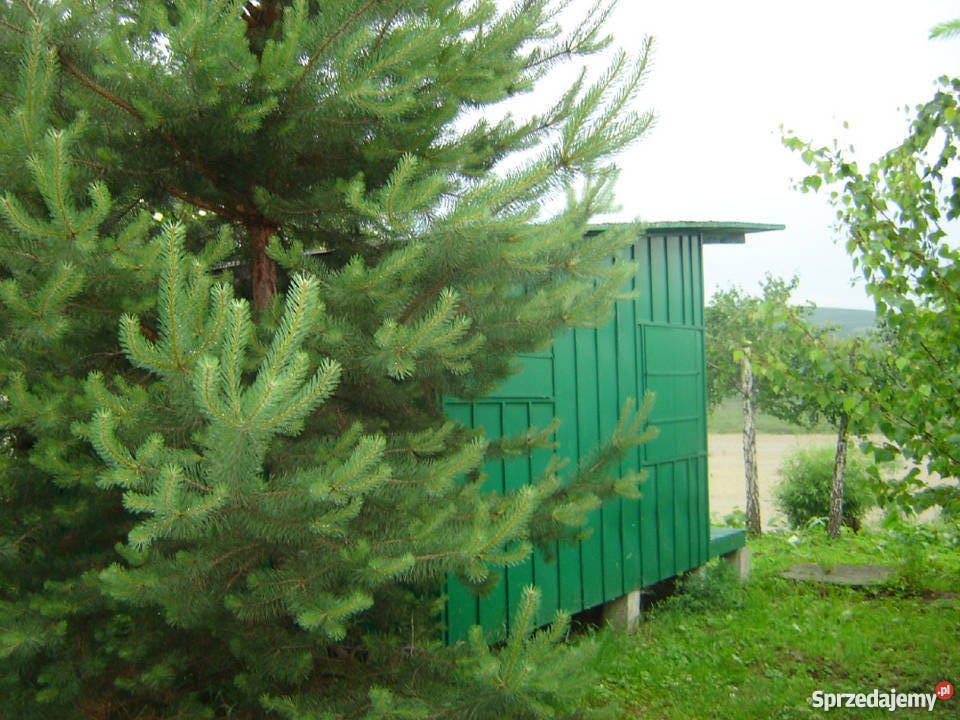 Sprzedam domek Jeziorem Rożnowskim prąd Nowy Sącz