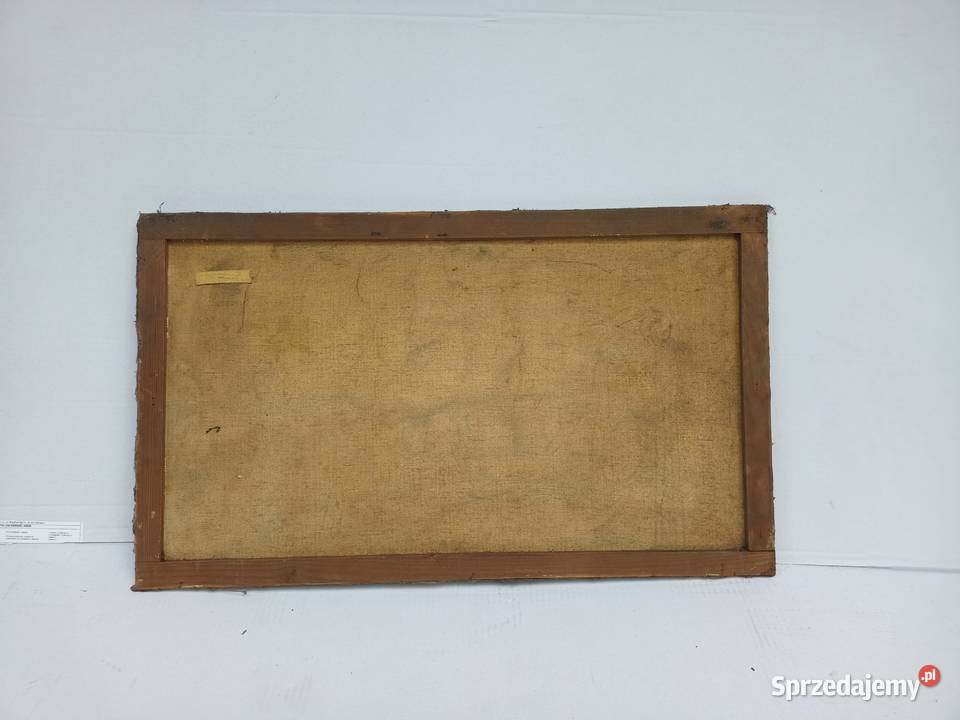 Obraz pejzaż na płótnie sprzedam