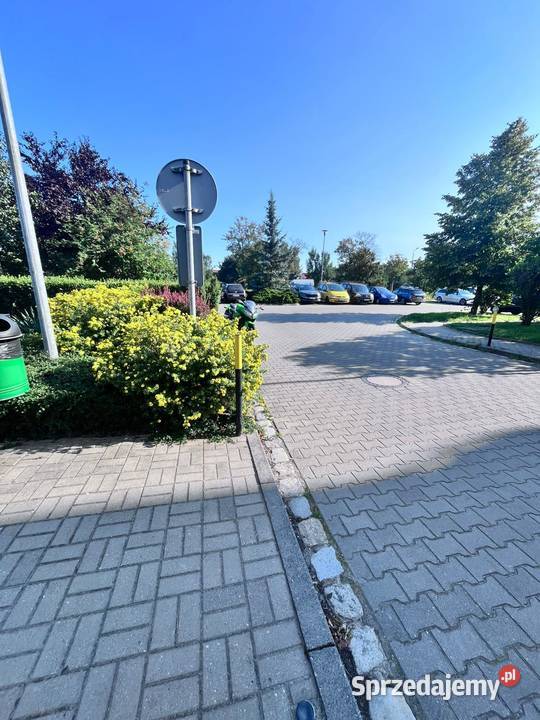 Miejsce w salonie piękności Kosmonautów Wrocław Wynajem