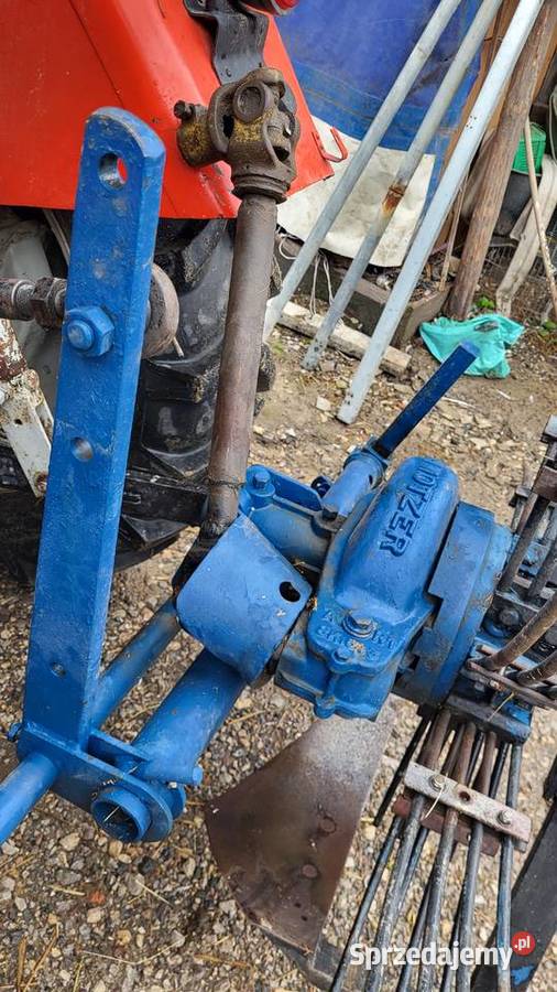 Kopaczka świętokrzyskie Porąbki