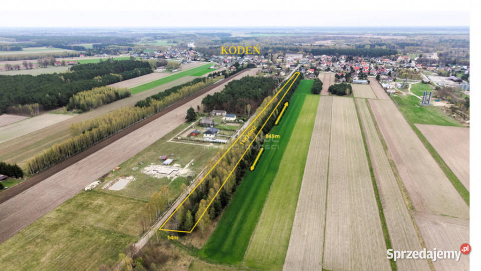 Działka 11800m2 Ogrodowej w Kodniu 14m lubelskie Kodeń