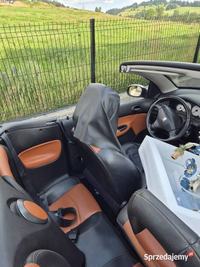 Peugeot 206 CC małopolskie Biały Dunajec