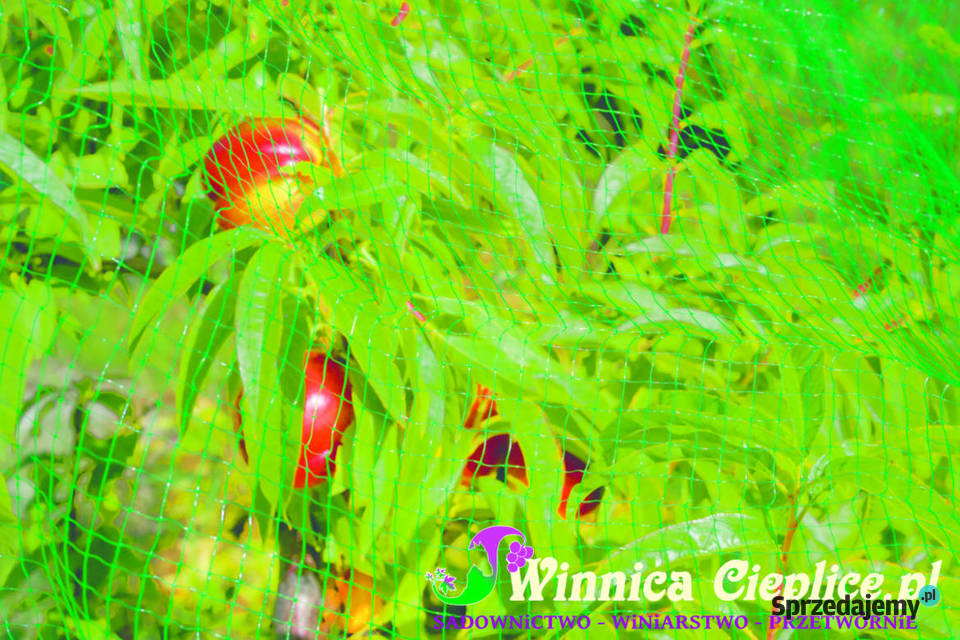 Siatka ochronna 100x250mb pko ptakom Lwówek Śląski