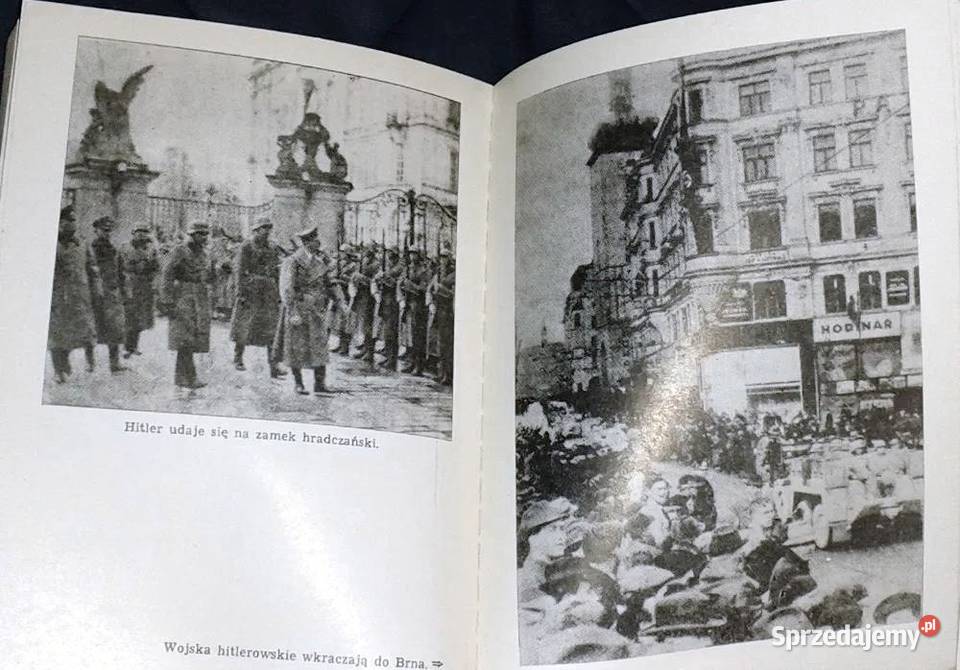 Fall Grn Franciszek Bernaś sprzedam