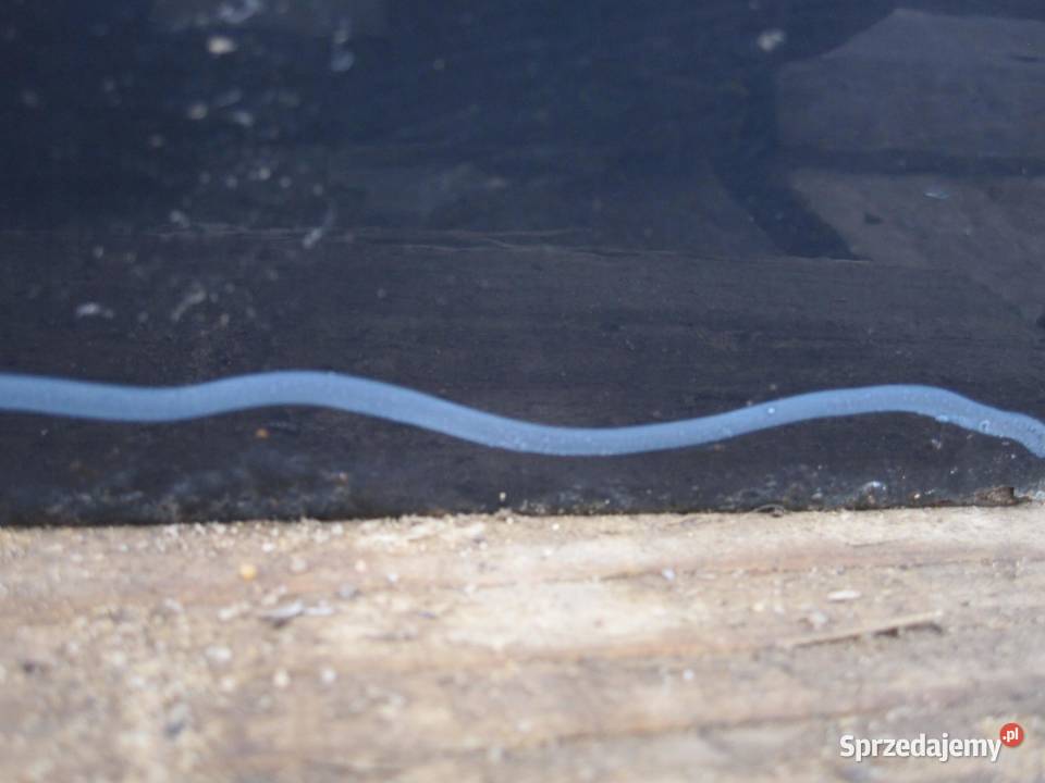 FORD FOCUS MK3 III 11r drzwi lewe tył kompletne sprzedam