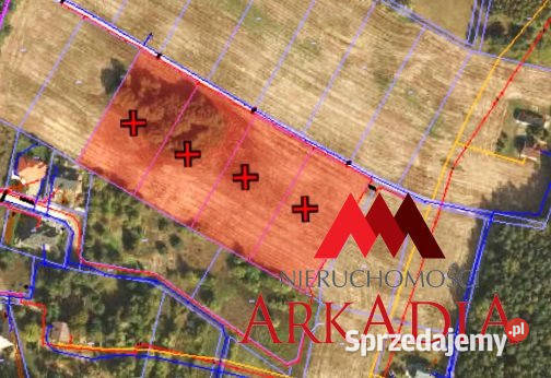 Działka 3100m2 Nowy Witoszyn sprzedam