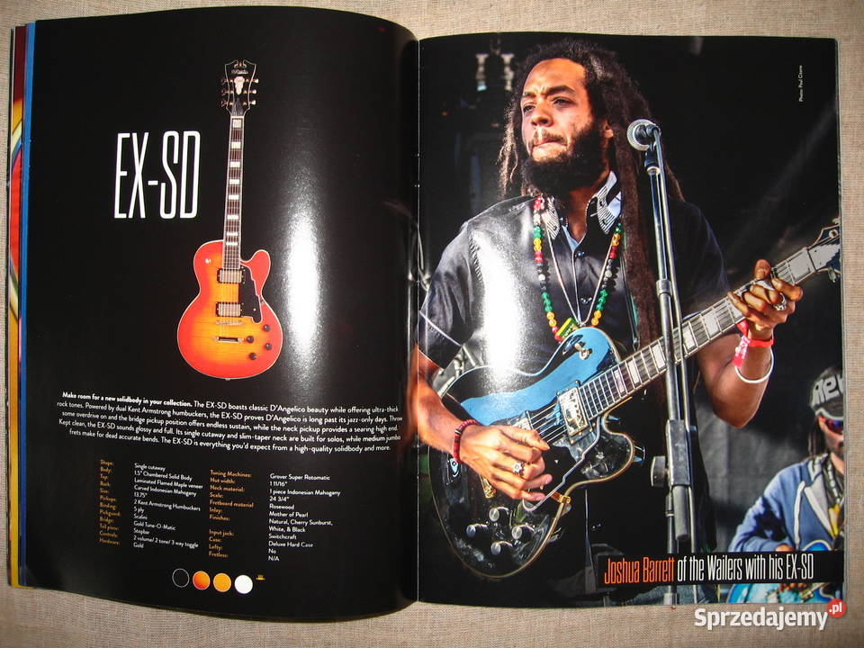 DAngelico 2016 katalog gitar Kępice