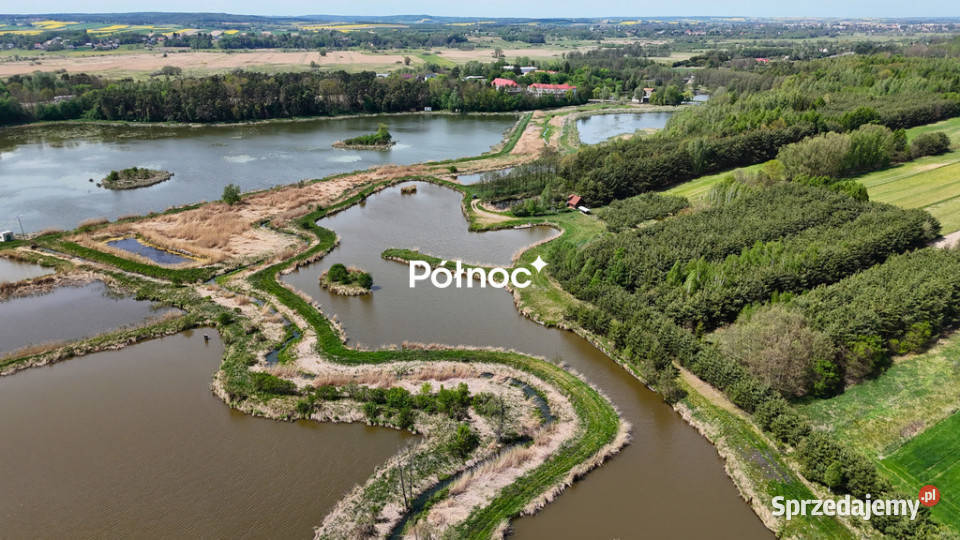 Malowniczy staw z potencjałem inwestycyjnym Małochwiej Duży