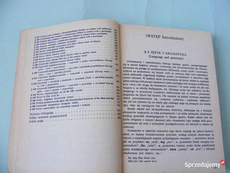 Gramatyka angielska Polaków Słownik z rozmówkami