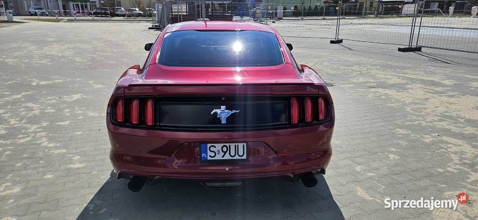 Ford Mustang 37 Automat 306 Książenice sprzedam