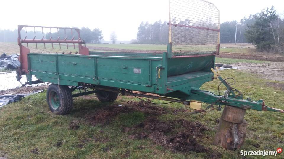 Rozrzutnik niemiecki podkarpackie Rzeszów