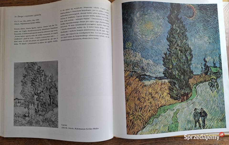 W kręgu sztuki Vincent van Gogh Arkady twarda małopolskie Kraków sprzedam