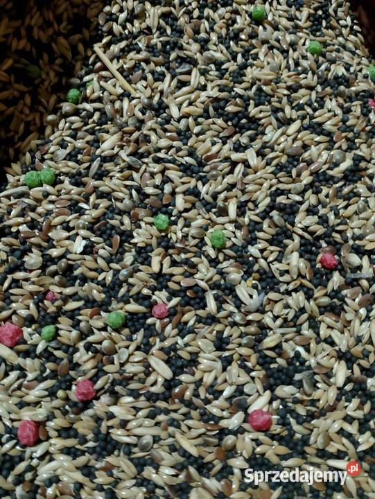 Karma papug kanarków gryzoni Strzeleczki